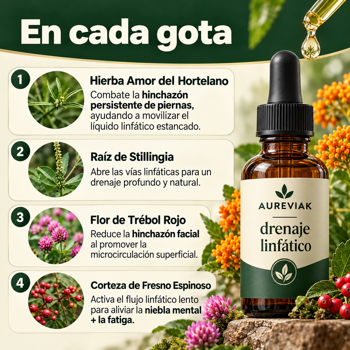Gotas AUREVIAK® | Sientete mas ligera y menos hinchada de forma natural
